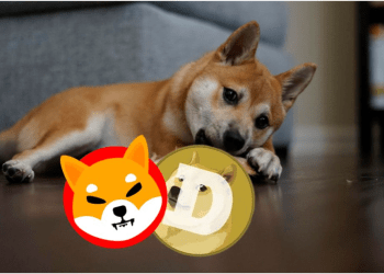 Turn $200 into $30,000 in Just 2 Months: Top 5 Dogecoin and Shiba Inu Alternatives for 150x Returns